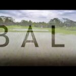 Travel Bali in a Minute – Drone Aerial Video | Expedia